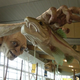 Illustration for article titled Giant Gollum sculpture goes fishing in the Wellington Airport
